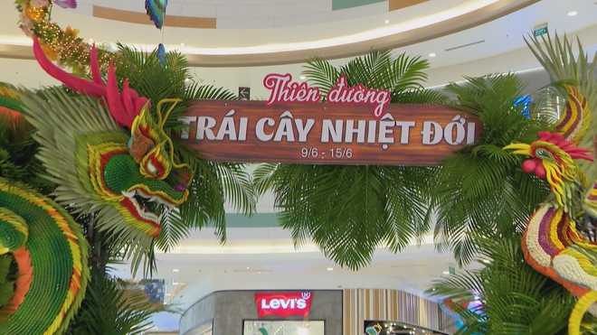 60 Giây ngày 10/6/2026 | TP. Hồ Chí Minh: Cung đường hoa giấy bên biển hút khách mỗi chiều hè - Ảnh 4.