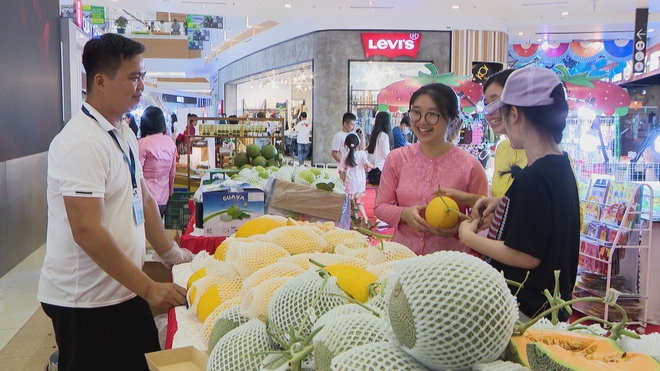60 Giây ngày 10/6/2026 | TP. Hồ Chí Minh: Cung đường hoa giấy bên biển hút khách mỗi chiều hè - Ảnh 5.