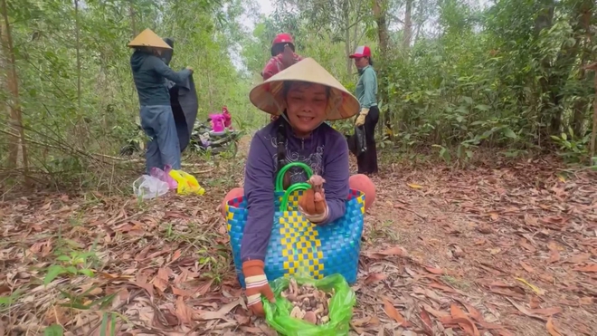 60 Giây Sáng ngày 10/6/2026 | Thí sinh làm thủ tục dự thi tốt nghiệp THPT - Ảnh 7.