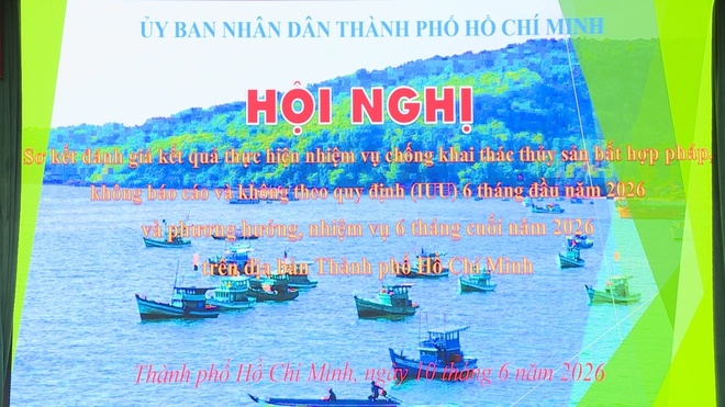 TP. Hồ Chí Minh quyết liệt chống khai thác IUU - Ảnh 5.