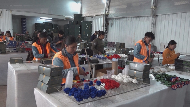 Biến hoa hồng thành quốc kỳ các đội dự World Cup - Ảnh 3.