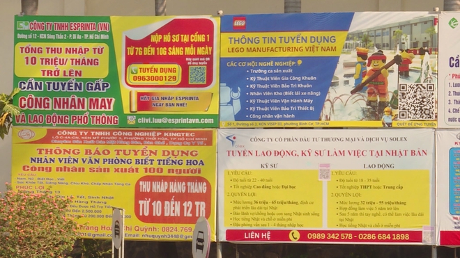 Vươn khơi - Ngày 14/6/2026 | TP. Hồ Chí Minh mở rộng nguồn cung nhà ở cho thuê- Ảnh 3. Vươn khơi - Ngày 14/6/2026 | TP. Hồ Chí Minh mở rộng nguồn cung nhà ở cho thuê- Ảnh 3.