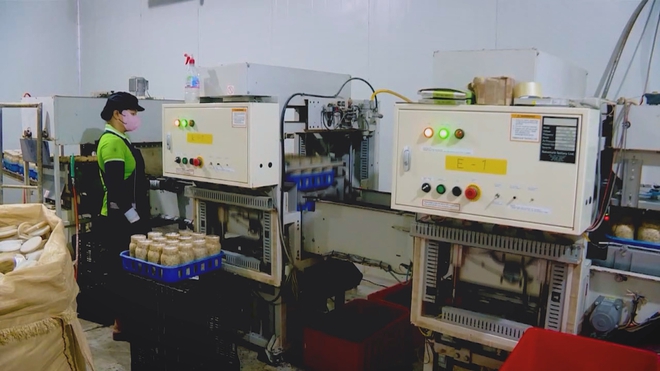 Đồng Nai: Chuyển đổi số tạo sức bật cho doanh nghiệp - Ảnh 1.