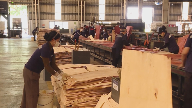 Vươn khơi - Ngày 21/6/2026 | TP. Hồ Chí Minh phấn đấu kinh tế số chiếm 30% GRDP năm 2026 - Ảnh 3.