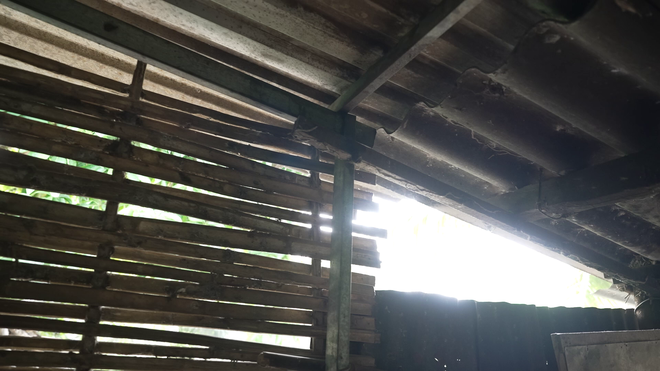 Mái ấm gia đình Việt: Uống nước cầm hơi, Hữu Trí nỗ lực học hành, đạt giải quốc gia - Ảnh 13.