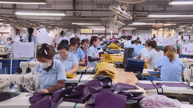Vươn khơi - Ngày 27/6/2026 | Ngành dệt may chủ động thích ứng, giữ ổn định sản xuất - Ảnh 2.
