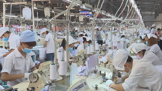 Vươn khơi - Ngày 27/6/2026 | Ngành dệt may chủ động thích ứng, giữ ổn định sản xuất - Ảnh 3.