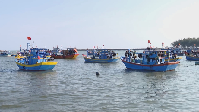 Vươn khơi - Ngày 29/6/2026 | Khu vực phía Đông có 3 tuyến xe buýt được miễn phí vé - Ảnh 5.
