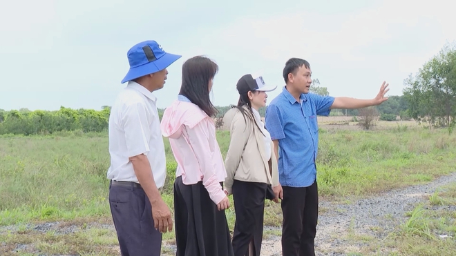 Vươn khơi - Ngày 29/6/2026 | Khu vực phía Đông có 3 tuyến xe buýt được miễn phí vé - Ảnh 8.