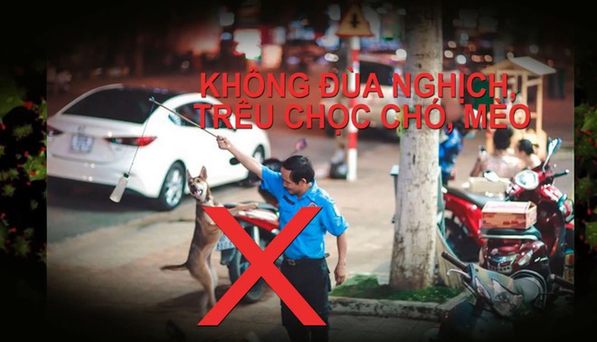 Chung tay phòng, chống bệnh dại để bảo vệ tính mạng - Ảnh 2.