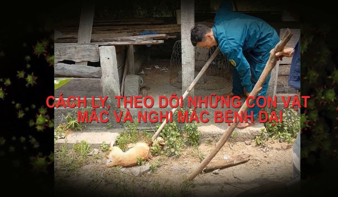 Chung tay phòng, chống bệnh dại để bảo vệ tính mạng - Ảnh 4.