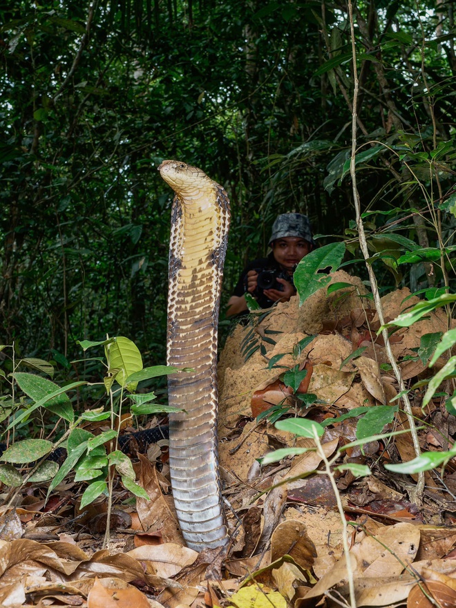 Việt Nam góc nhìn nơi hoang dã - Mùa 2: 10g30 Chủ nhật trên HTV7- Ảnh 2.