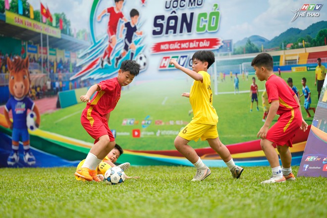 HTV hoàn tất công tác chuẩn bị cho HTV Cup 2026- Ảnh 1.
