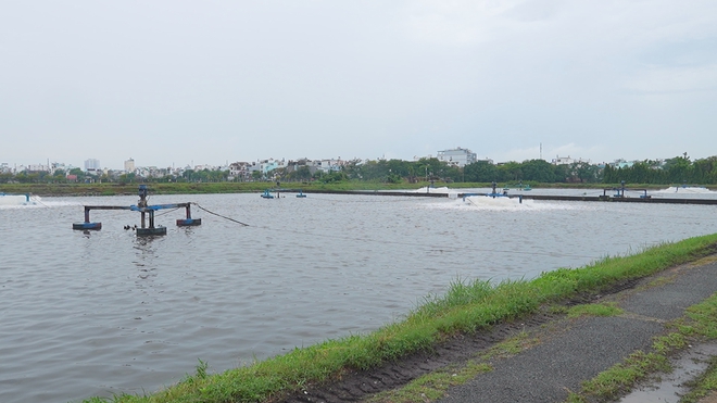 TP. Hồ Chí Minh tập trung xây dựng hạ tầng xử lý nước thải sinh hoạt - Ảnh 2.