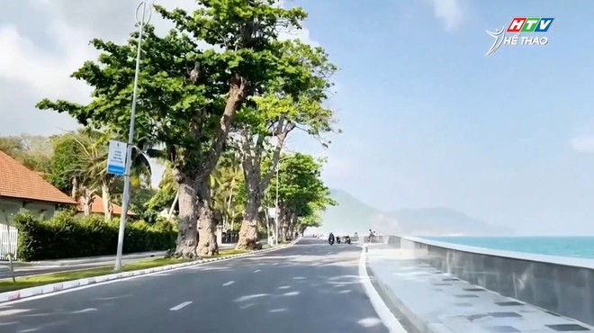 Côn Đảo xanh, sạch và những trải nghiệm đáng nhớ trước thềm giải chạy "Ý chí Côn Đảo" - Ảnh 12.