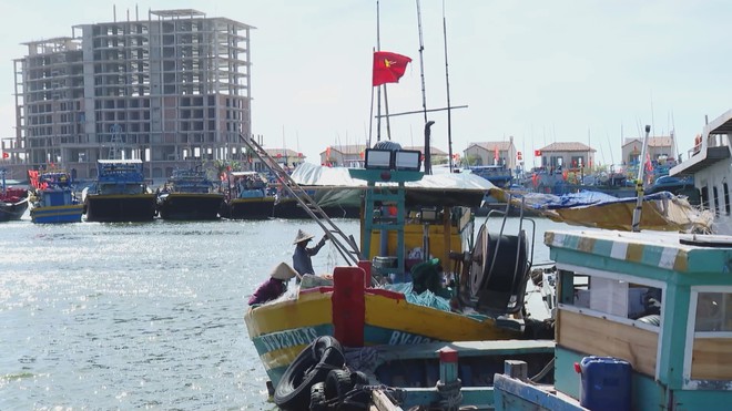 Chủ động gia cố khu neo động, sẵn sàng ứng phò mùa mưa bão  - Ảnh 2.