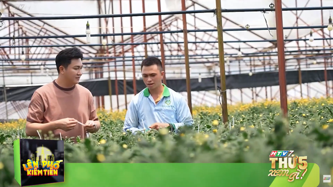 Lên phố kiếm tiền - 19g thứ Năm (16/7) trên HTV7 - Ảnh 2.