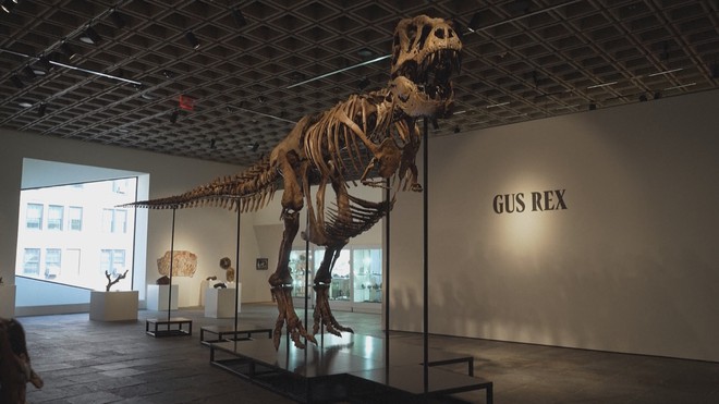 50,1 triệu đôla Mỹ cho bộ xương khủng long T-rex Gus- Ảnh 1.
