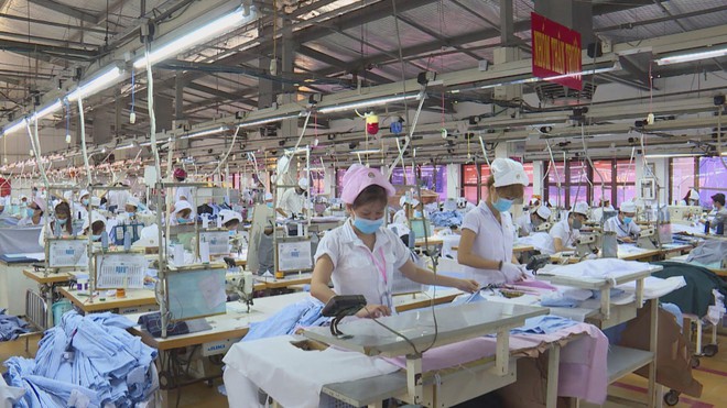 Vươn khơi - Ngày 15/7/2026 | Dệt may nỗ lực duy trì đà tăng trưởng xuất khẩu- Ảnh 3.