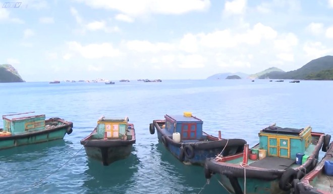 Cùng HTV Hành động xanh: Đại dương cần nhiều hơn những lời kêu gọi - Ảnh 19.