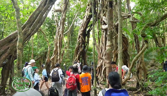 Cùng HTV Hành động xanh: Vận động để chữa lành - Ảnh 10.
