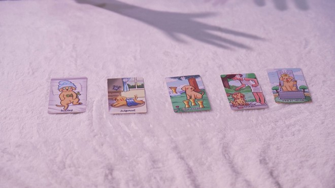 Dịch vụ xem bài tarot cho thú cưng thu hút người nuôi tại Hàn Quốc - Ảnh 3.