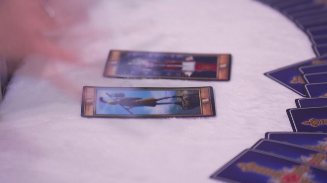 Dịch vụ xem bài tarot cho thú cưng thu hút người nuôi tại Hàn Quốc - Ảnh 5.