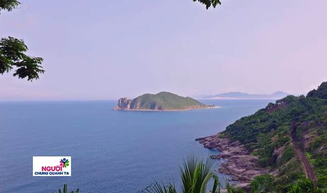 Người chung quanh ta: Người lặn biển suốt 15 năm để cứu san hô Sơn Trà - Ảnh 19.