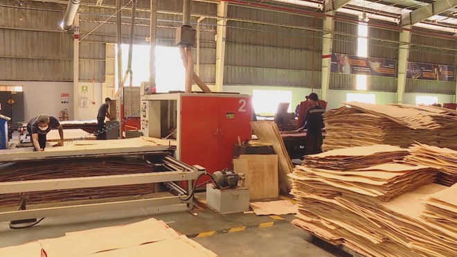 Vươn khơi - Ngày 23/7/2026 | Chính sách thuế tiếp sức doanh nghiệp phục hồi sản xuất - Ảnh 3.