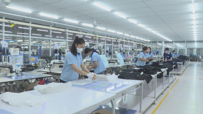 Vươn khơi - Ngày 23/7/2026 | Chính sách thuế tiếp sức doanh nghiệp phục hồi sản xuất - Ảnh 2.