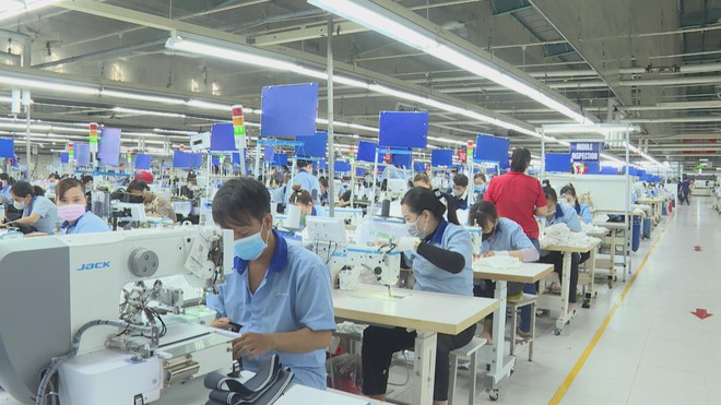 Vươn khơi - Ngày 23/7/2026 | Chính sách thuế tiếp sức doanh nghiệp phục hồi sản xuất - Ảnh 1.