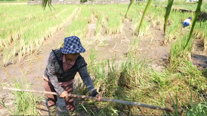 Mái ấm gia đình Việt: Cô bé chỉ ước mẹ khỏe mạnh để ở bên mình lâu hơn- Ảnh 1.