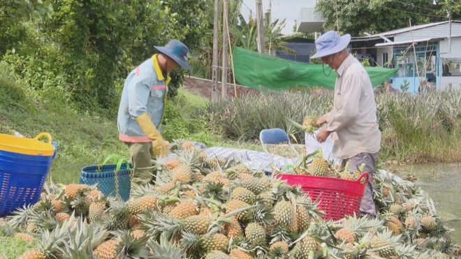60 Giây ngày 27/7/2026 | Lai Châu: Triệt phá đường dây lừa đảo xuyên quốc gia, bắt giữ 40 đối tượng - Ảnh 4.