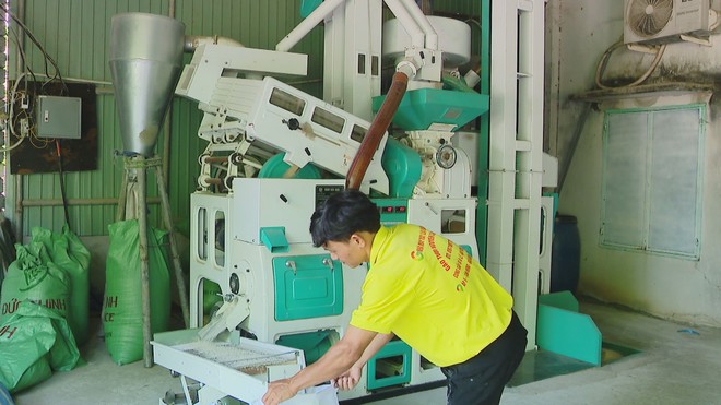 Vươn khơi - Ngày 29/7/2026 | Phê duyệt Chiến lược quốc gia về chuyển đổi số - Ảnh 5.