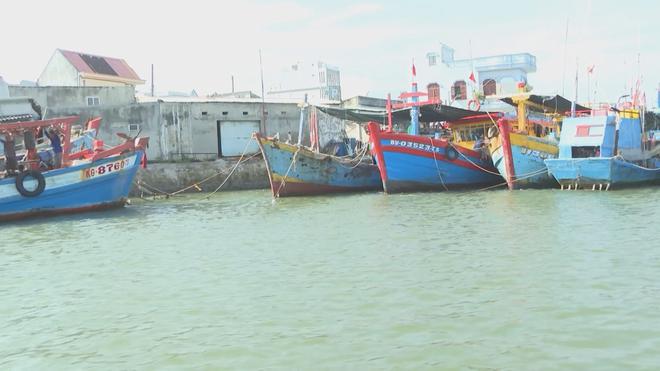 TP. Hồ Chí Minh quyết liệt gỡ “thẻ vàng” IUU - Ảnh 2.