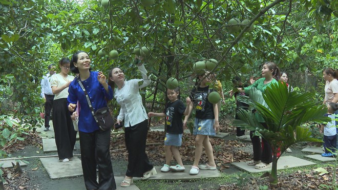 Thời sự HTV ngày 7/7/2026 | Ban chỉ đạo phòng, chống tham nhũng, lãng phí, tiêu cực TP. Hồ Chí Minh họp phiên thứ 14 - Ảnh 8.