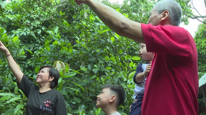 Thời sự HTV ngày 7/7/2026 | Ban chỉ đạo phòng, chống tham nhũng, lãng phí, tiêu cực TP. Hồ Chí Minh họp phiên thứ 14 - Ảnh 7.