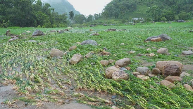 60 Giây Sáng ngày 9/7/2026 | Lai Châu khẩn trương khắc phục hậu quả mưa lũ lớn - Ảnh 1.