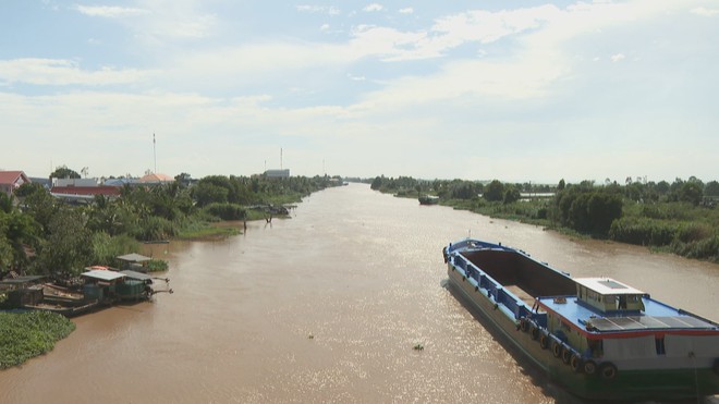 60 Giây ngày 16/8/2026 | Sốt xuất huyết tại TP. Hồ Chí Minh tiếp tục gia tăng - Ảnh 5.