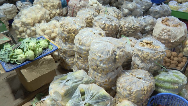 60 Giây ngày 16/8/2026 | Sốt xuất huyết tại TP. Hồ Chí Minh tiếp tục gia tăng - Ảnh 4.