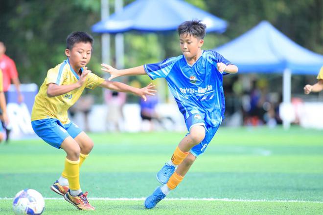 Football Festival Việt Nam 2026 quy tụ gần 1.000 cầu thủ nhí từ ba miền- Ảnh 2.