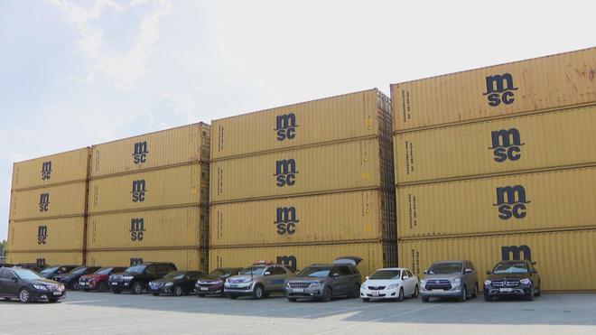 Thời sự HTV ngày 2/8/2026 | Đi bộ đồng hành vì nạn nhân chất độc da cam- Ảnh 6.