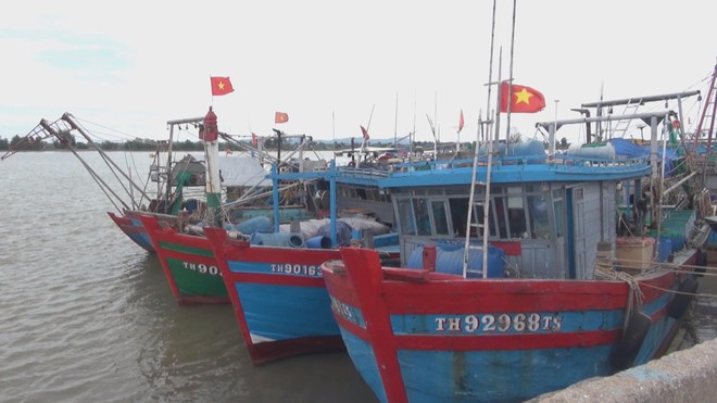 60 Giây Sáng ngày 22/8/2026 | Áp thấp nhiệt đới mạnh lên thành bão số 4 - Ảnh 2.