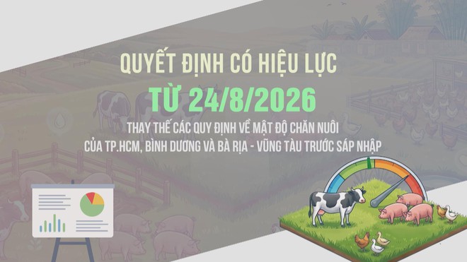 Vươn Khơi - Ngày 24/8/2026 | TP. Hồ Chí Minh quy định mật độ chăn nuôi đến năm 2030 - Ảnh 2.