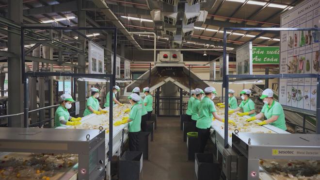 Phát triển kinh tế tuần hoàn bền vững- Ảnh 5.