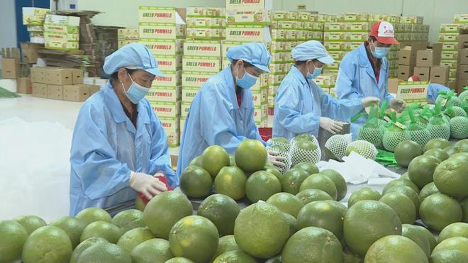 Quản lý đất trồng, mở đường cho nông sản Việt  - Ảnh 2.