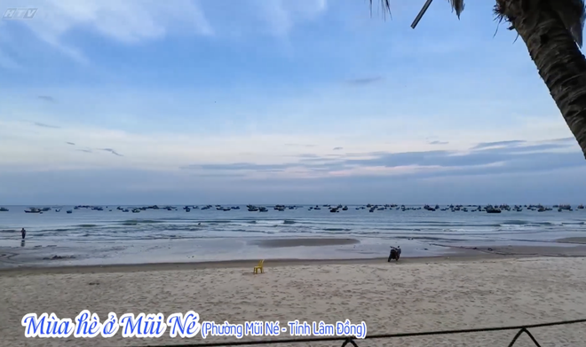 Vườn sao mai: Cẩm nang du lịch biển- Ảnh 4.