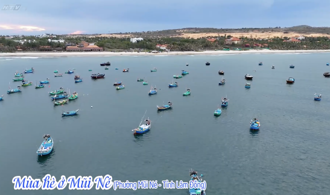 Vườn sao mai: Cẩm nang du lịch biển- Ảnh 1.