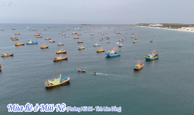 Vườn sao mai: Cẩm nang du lịch biển- Ảnh 3.