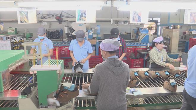 Vươn Khơi - Ngày 6/8/2026 | Triển khai chương trình hành động thúc đẩy tăng trưởng- Ảnh 3.